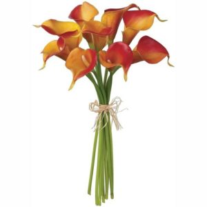 Orchid Bouquet