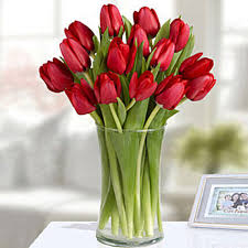 Red Tulips