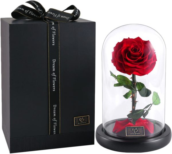 Beauty's Rose
